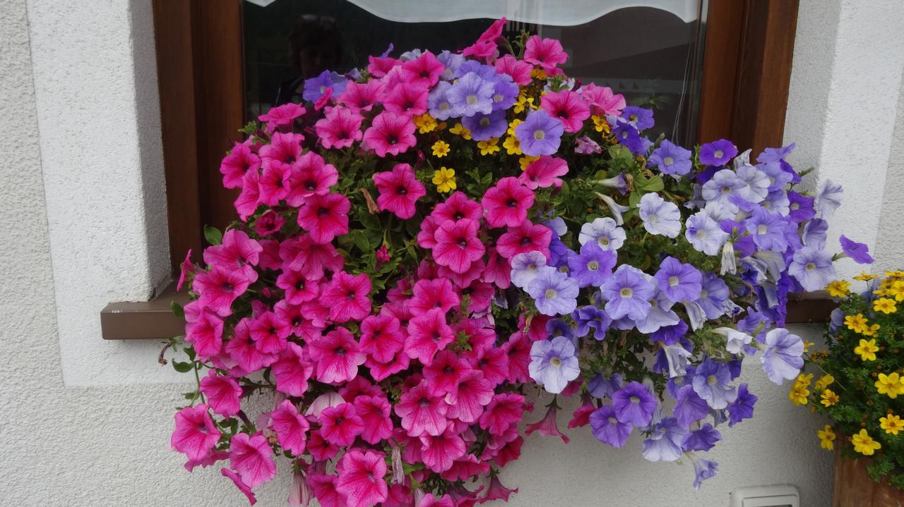 Hotel Garni Gimea Livigno Zewnętrze zdjęcie